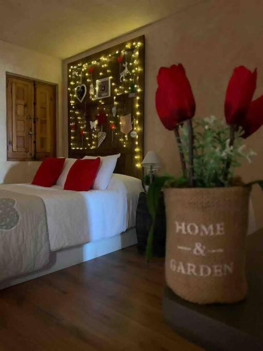 Luxury Danna Plaza Mayor Cuenca  Exteriér fotografie